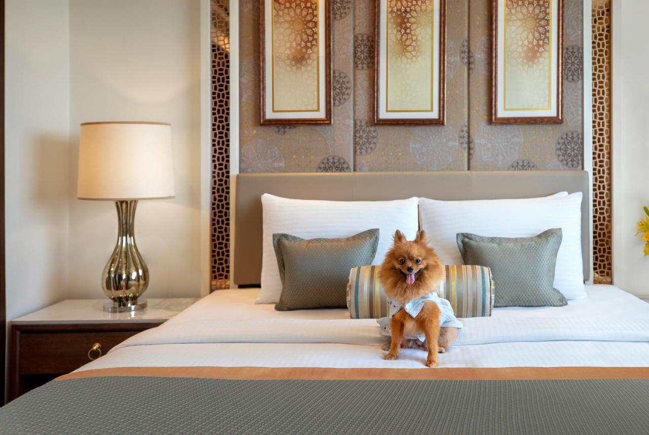 Tajview, Agra-Ihcl Seleqtions Hotel Buitenkant foto A dog in a hotel room